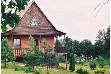 Lietuva Privát Paveisiejai, Eksterjeras